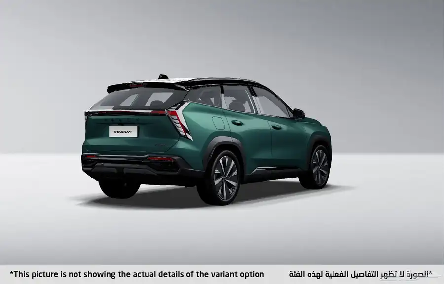 جيلى ستاررى بجميع فئات 2024 2