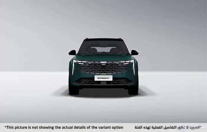 جيلى ستاررى بجميع فئات 2024 6