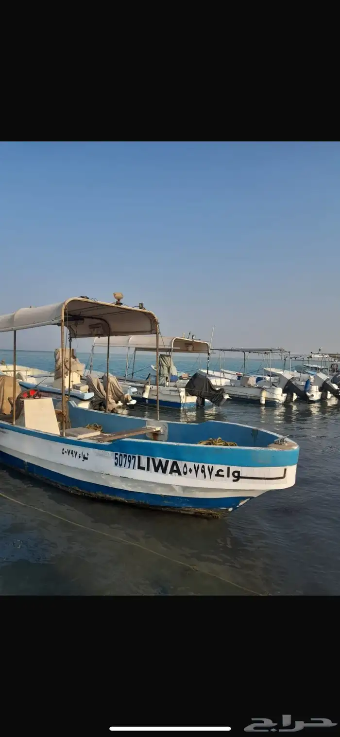 قارب يامها 0