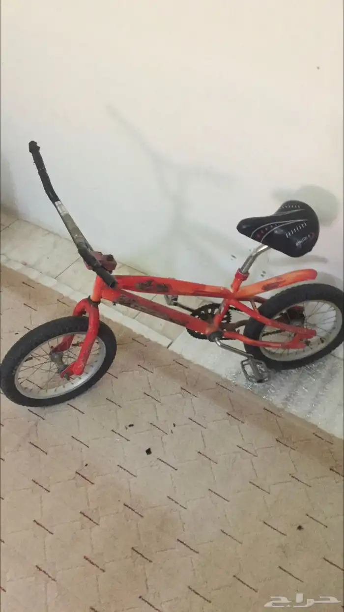 سيكل كوبرا 1