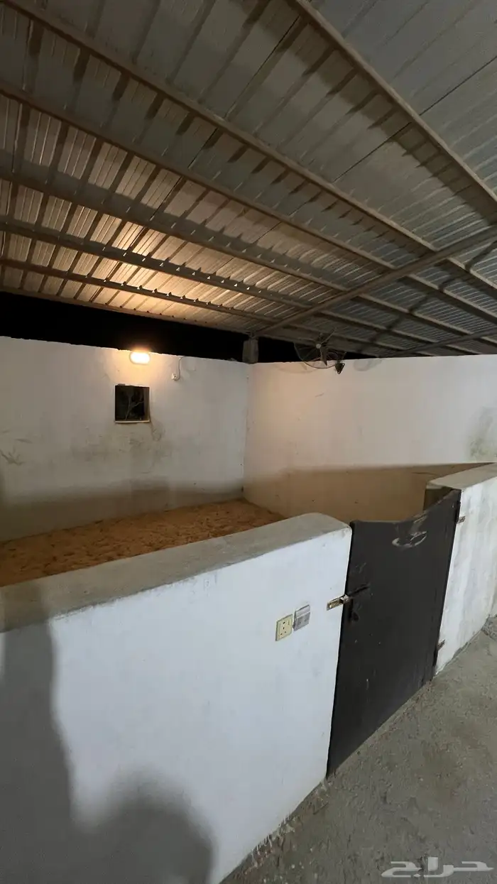 إيواء خيل وخدمات على حسب الرغبة 3