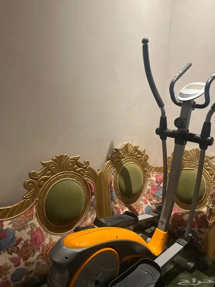 غزال طائر بيع مستعجل 0