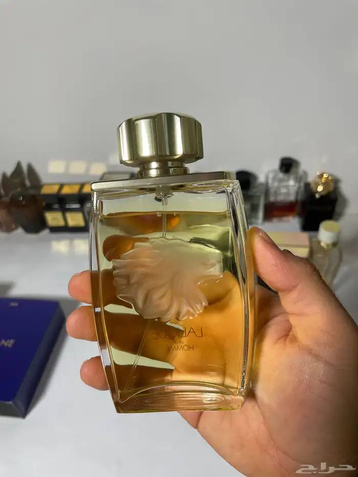 عطور براندات ب 99  عرض مايتفوت 5