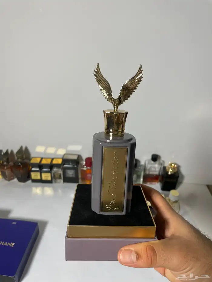 عطور براندات ب 99  عرض مايتفوت 1