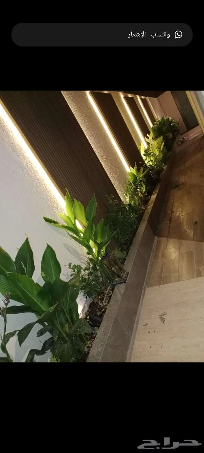 مشتل زراعي وتنسيق الحدايق 1