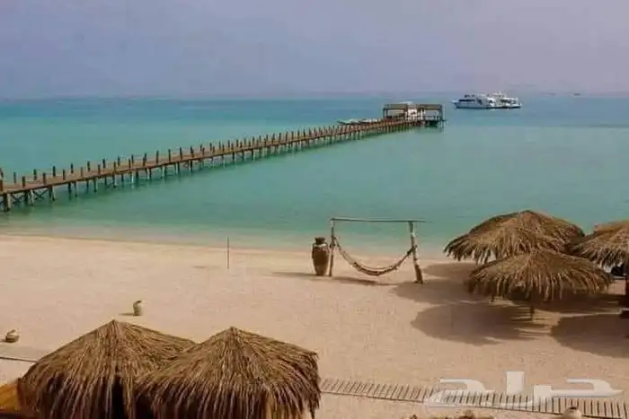 جازان   بيش 7