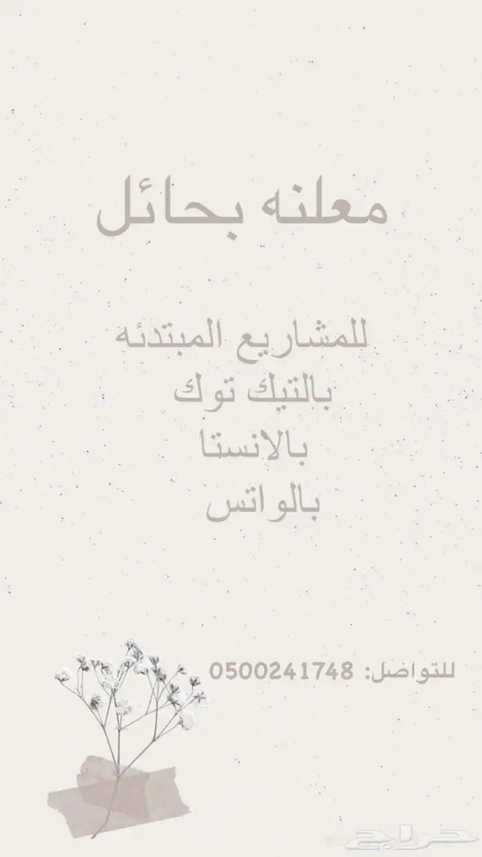 معلنه حائل 0