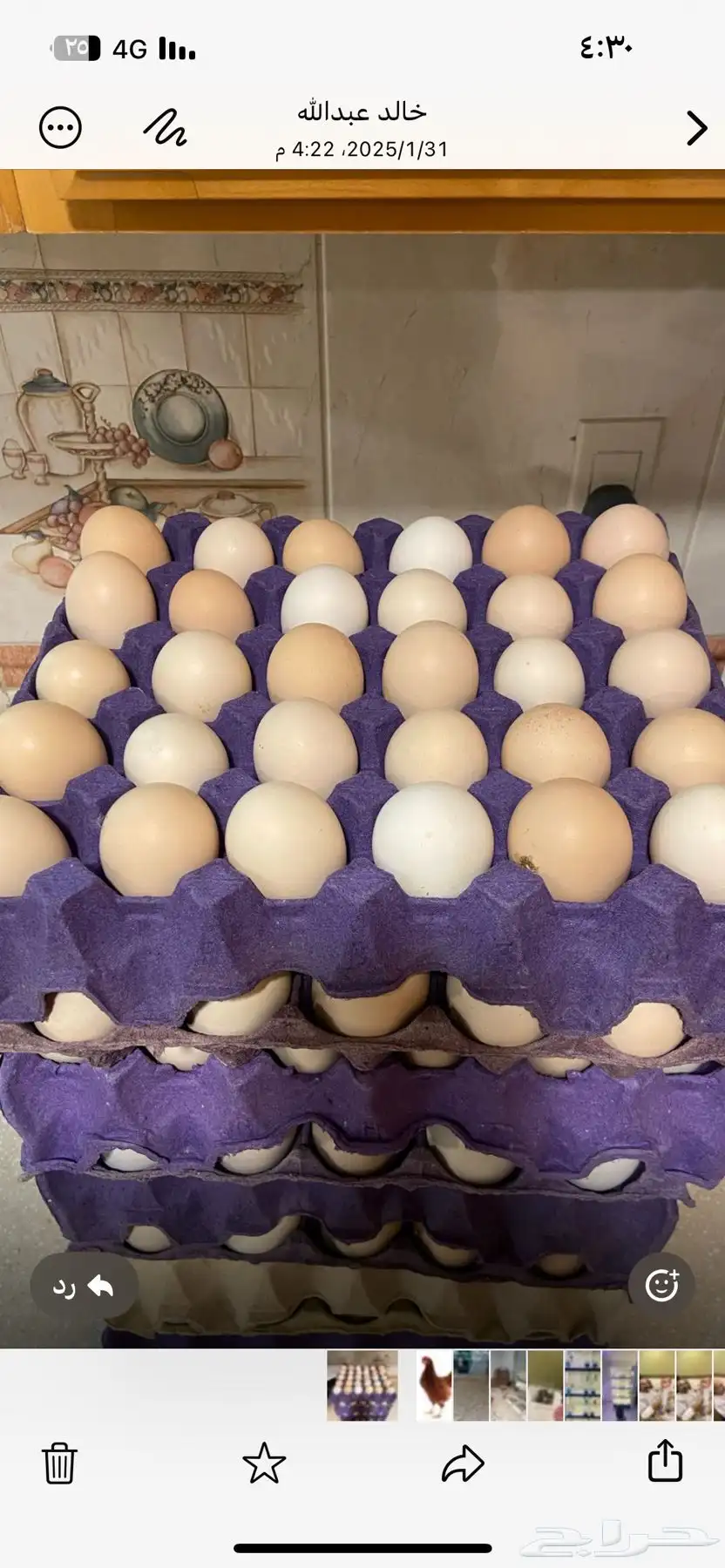 بيض بلدي طازج 0