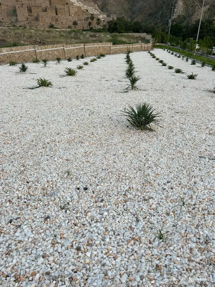 خرسان مرو 10
