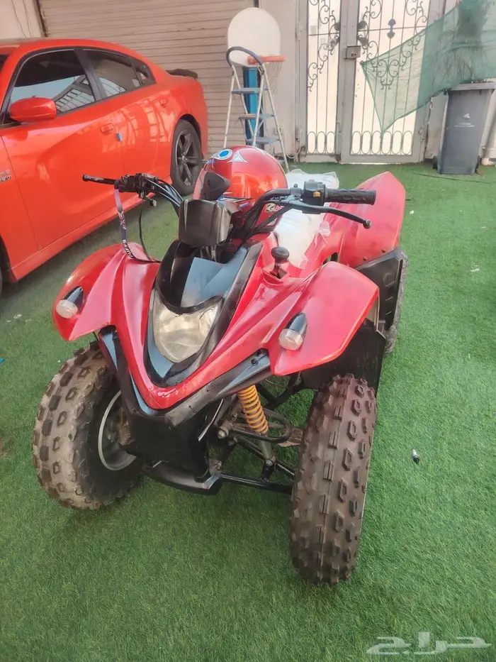 دباب للبيع 0