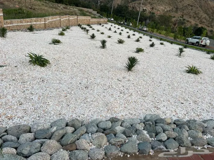 خرسان مرو 9