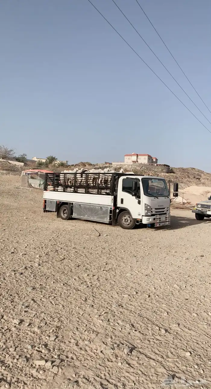 دينه نقل عفش وأثاث دينا حلال مواشي دنه لنقل داخل وخارج بيشة 0