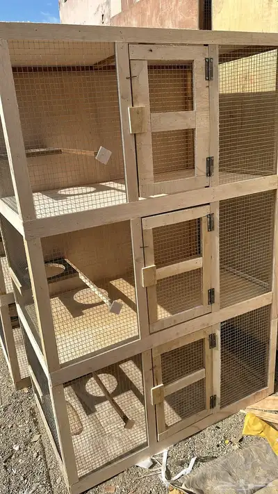 محاكر قفص 0