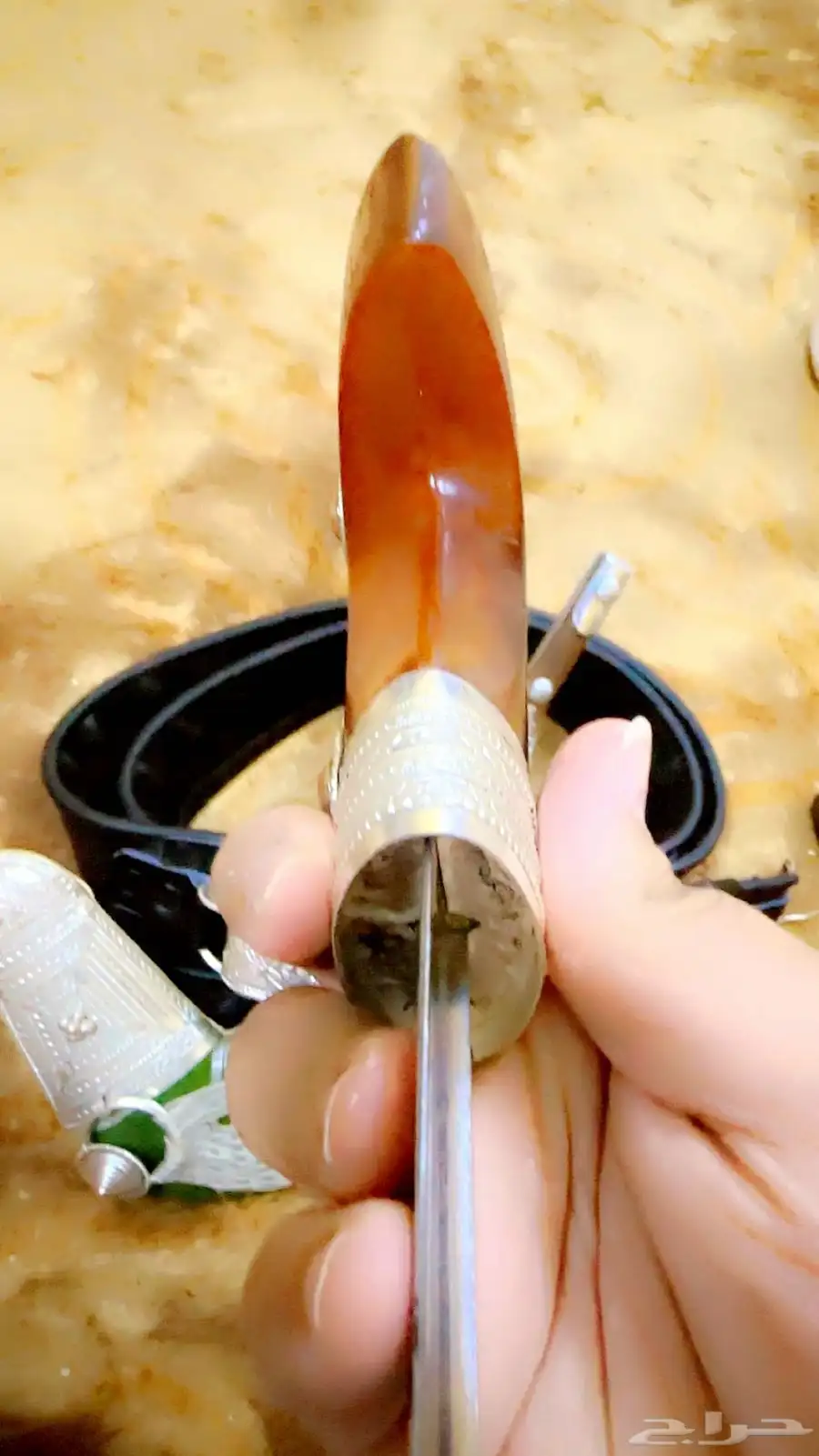 جنبية محمبر شبه زرف 7