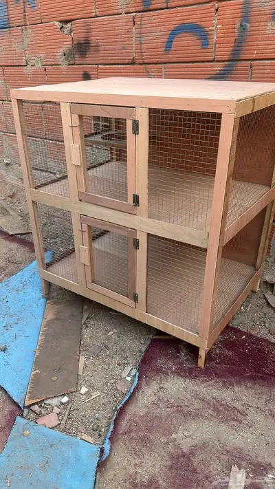 محاكر قفص 43