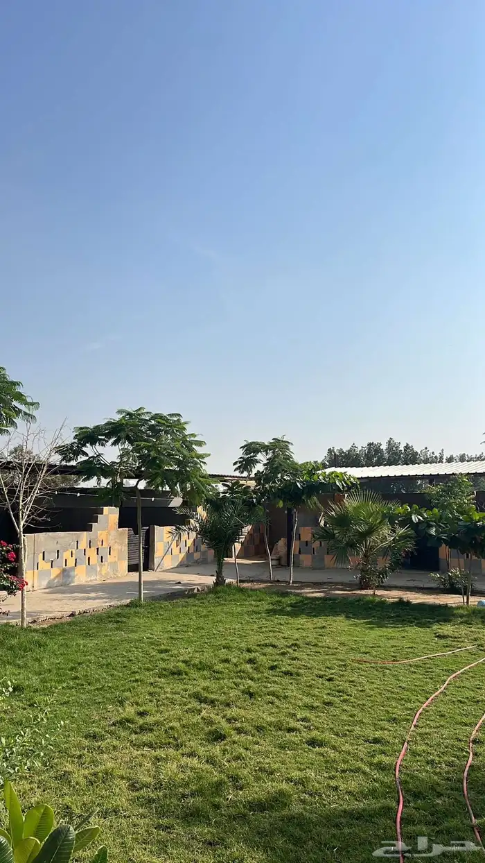 الايجار غرف 0
