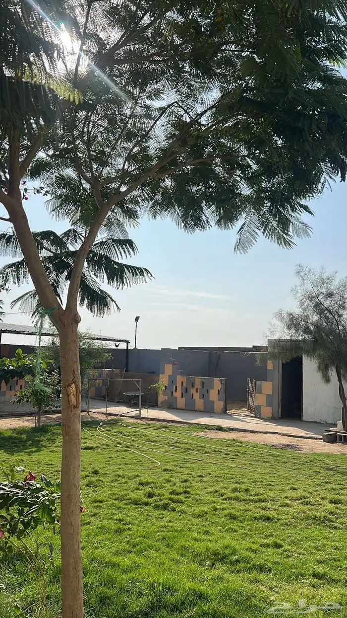الايجار غرف 4