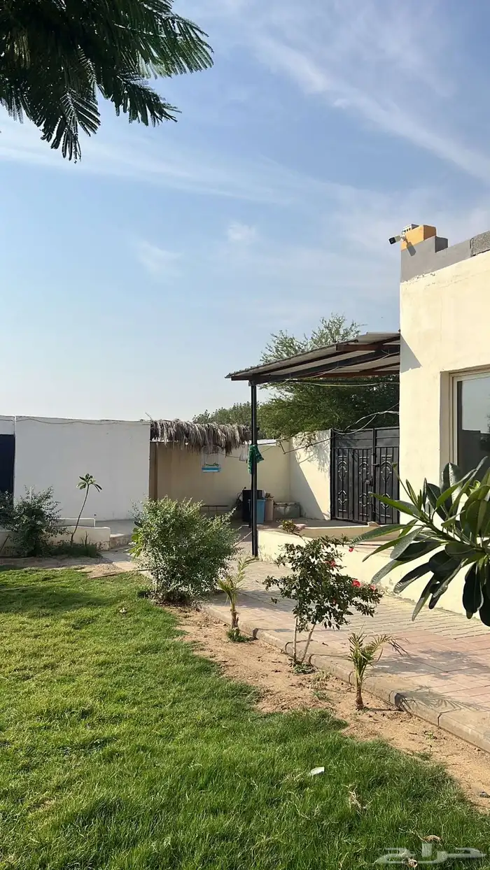 الايجار غرف 2