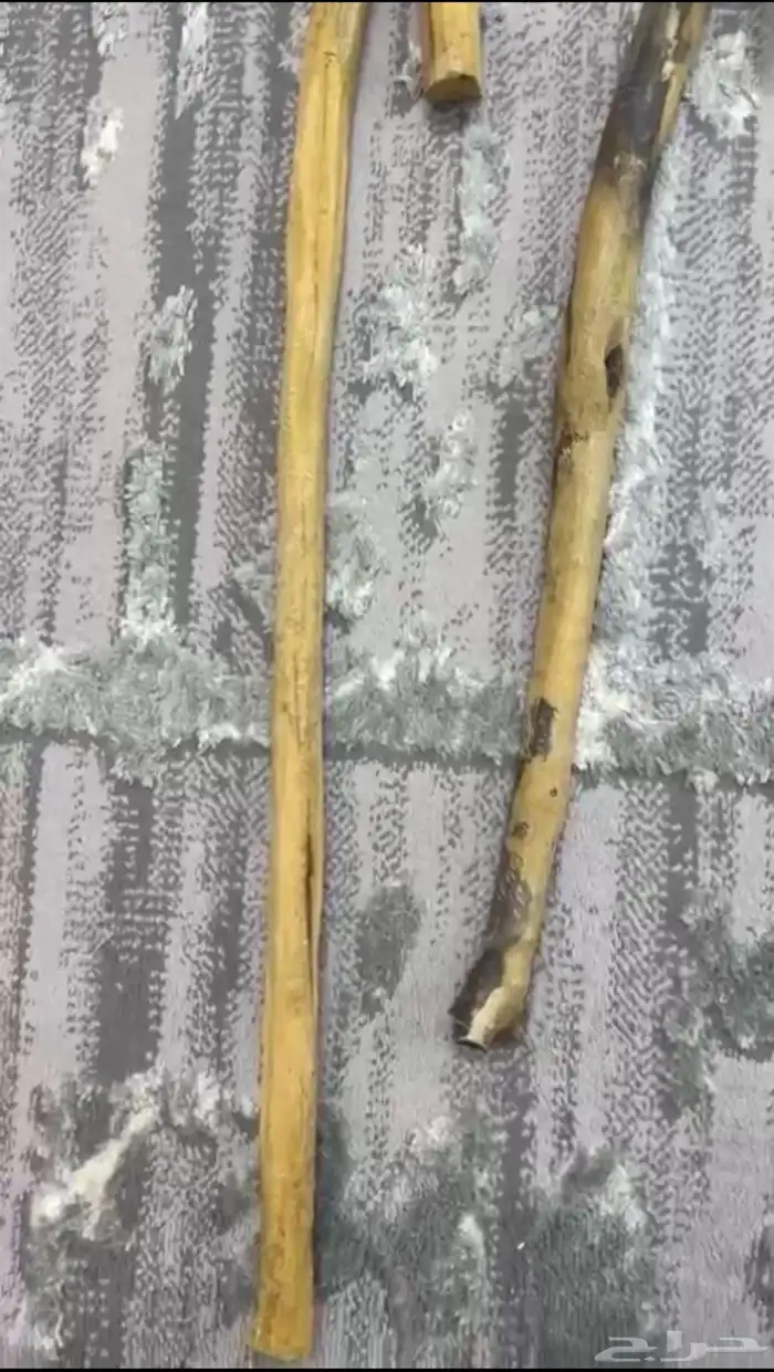 مشاعيب عتم الباحه 4