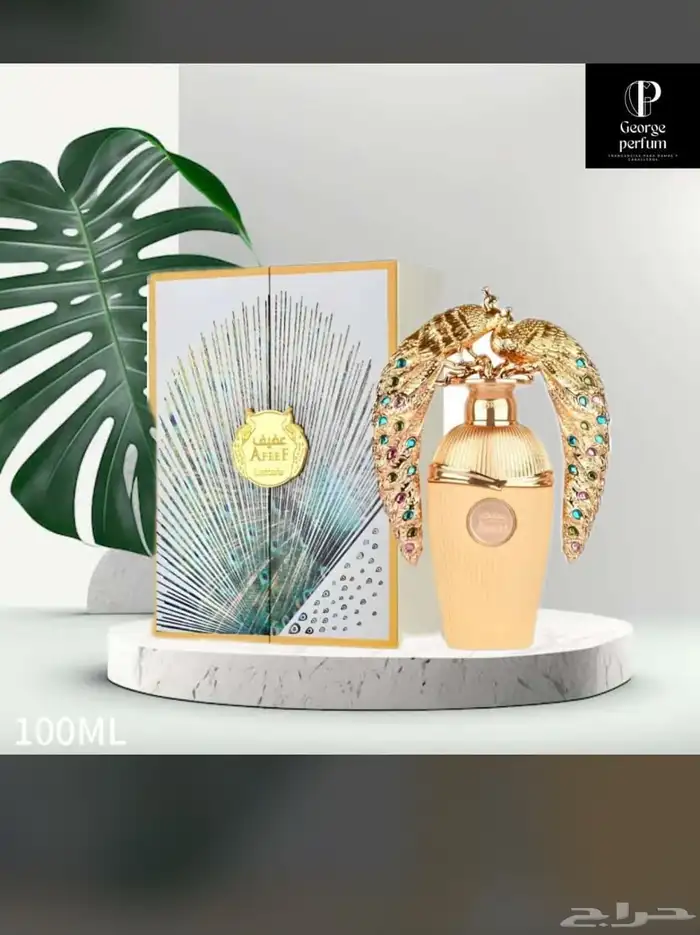 عطور نوفر جميع انواع العطور باشكالها وانواعها وبسعر الجملة 63