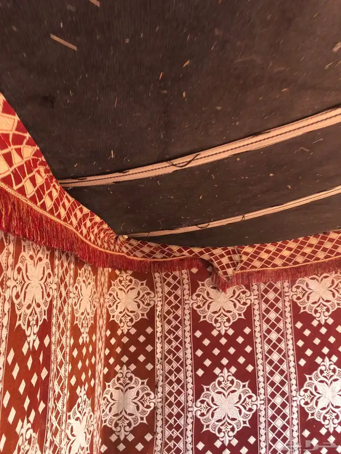 بيت اربع عمد للبيع 3
