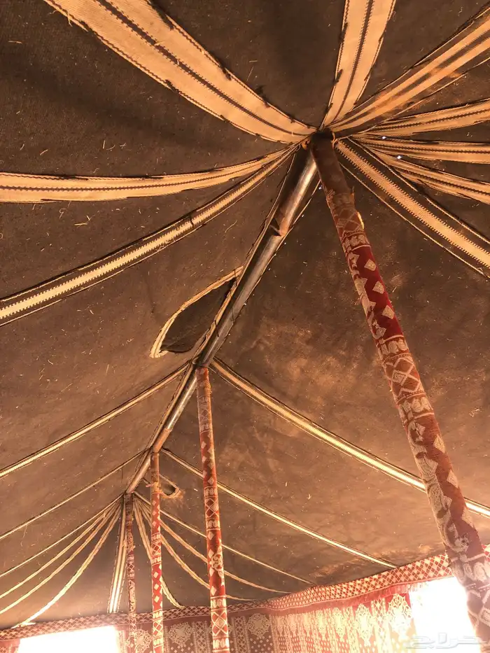 بيت اربع عمد للبيع 5