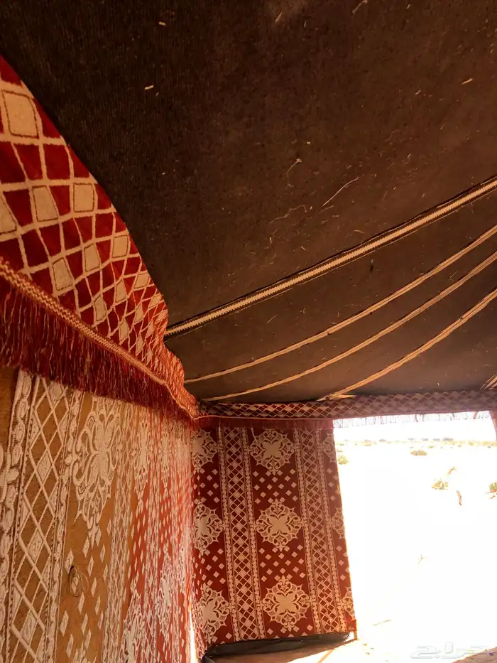 بيت اربع عمد للبيع 6