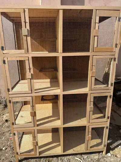 محاكر قفص 49