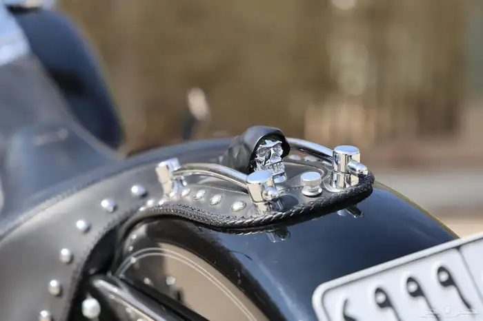 هارلي هيرتج - Harley-Davidson Heritage 3