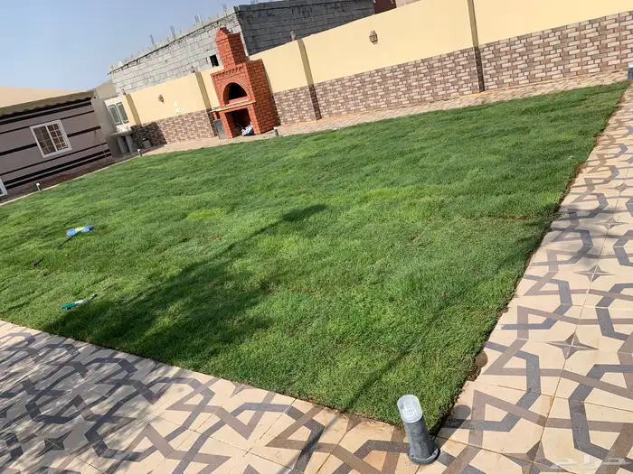 نجيله عشب طبيعي ثيل مضمون 33