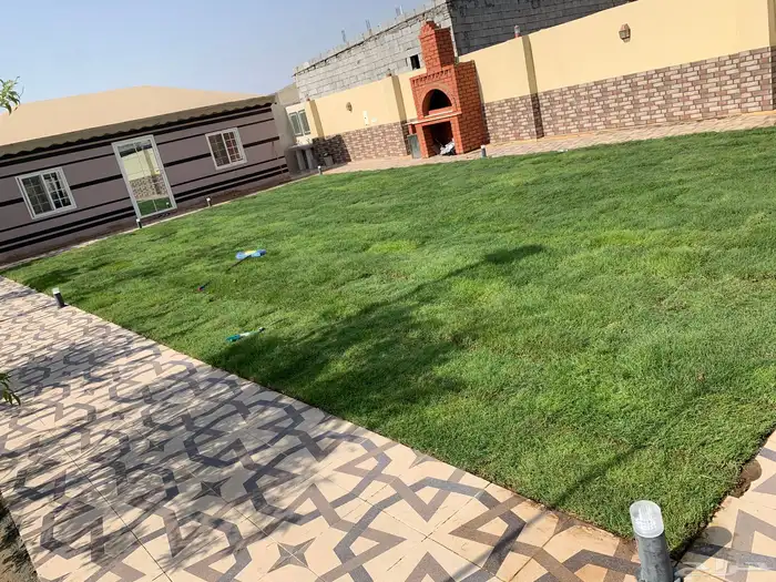 نجيله عشب طبيعي ثيل مضمون 34