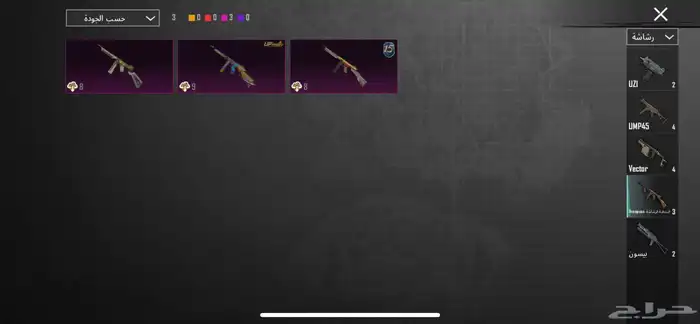 حساب ببجي 29