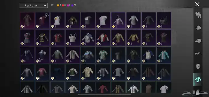 حساب ببجي 10