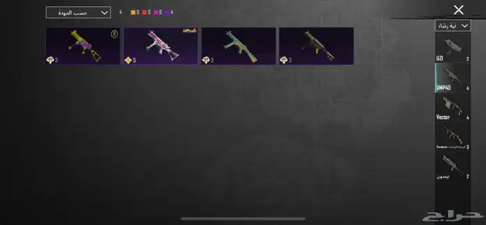 حساب ببجي 24