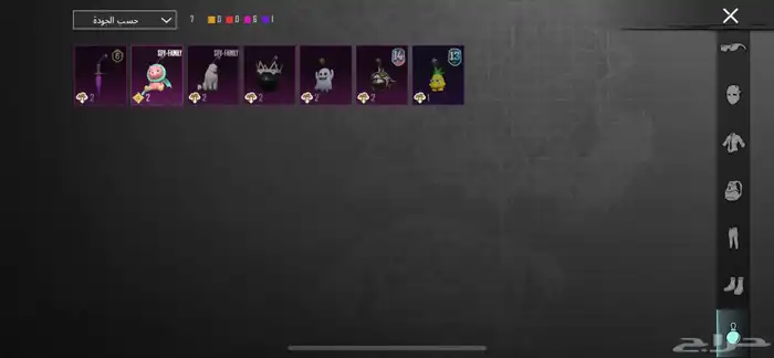 حساب ببجي 17