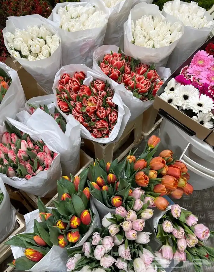 ورد طبيعي 1
