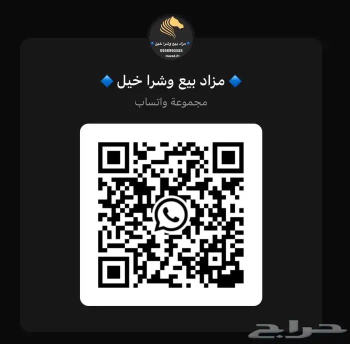 مزاد بيع وشراء خيل 1