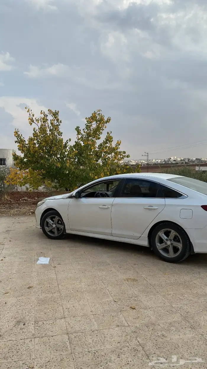توصيل مشاوير الاردن.القريات 0