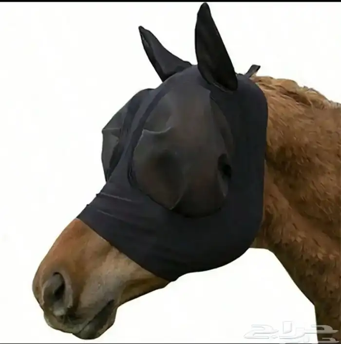 قناع للوجه الخيل  محسه خيل 0