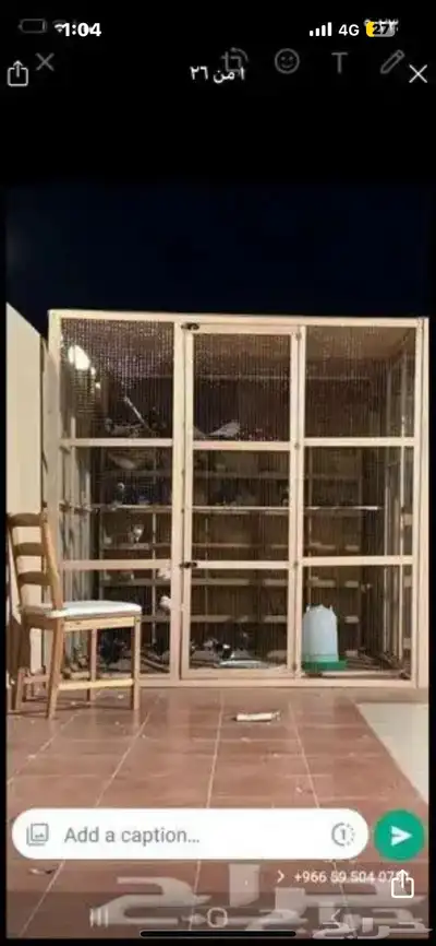 محاكر قفص 4