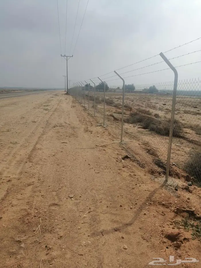 مقاول شبوك وتوريد نخيل 0