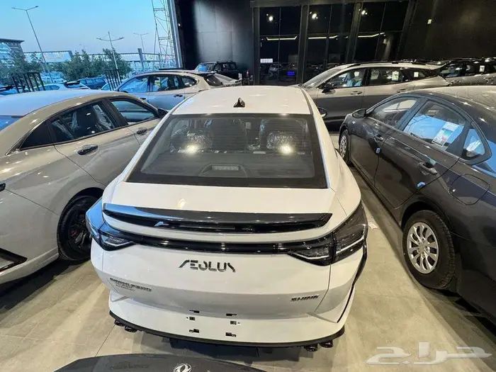 دونج فونج شاين 2025 10