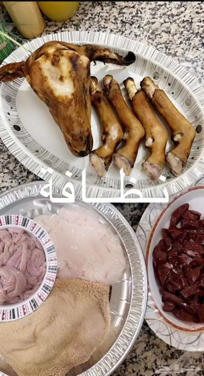 انعام الشروق التجاريه بتبوك بيع ذبائح حري نعيمي نجدي تيوس 5