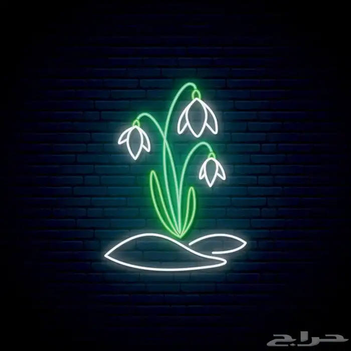 خطاط دعايه واعلان حروف تصاميم طباعه 42