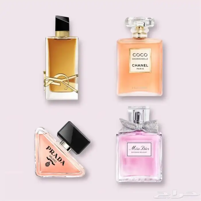 عطور سنغفورية اصلية 3