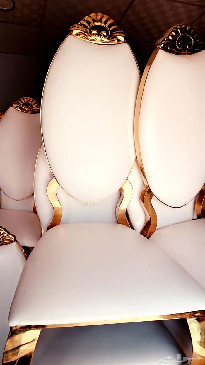 كراسي VIP للايجار 0