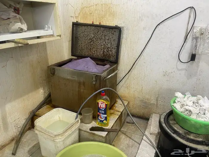 ورشة ذهب للتقبيل بكامل عمالها 13