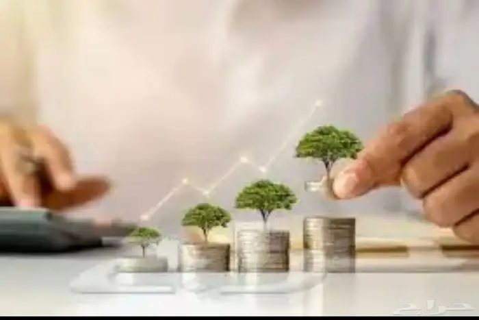 مشروع او شراكه. 0