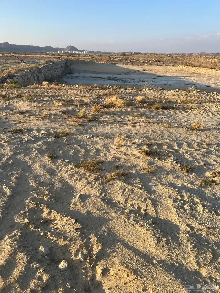 قطع زراعيه للإيجار وسكن 1