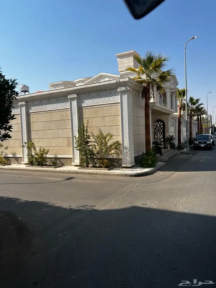 نخيل 3